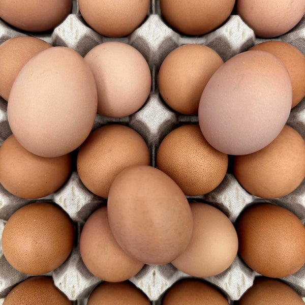 Locally sourced eggs available from our Northamptonshire based refill shop
