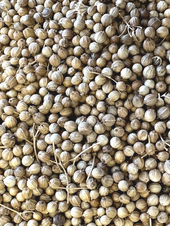 Vegan friendly coriander seeds
