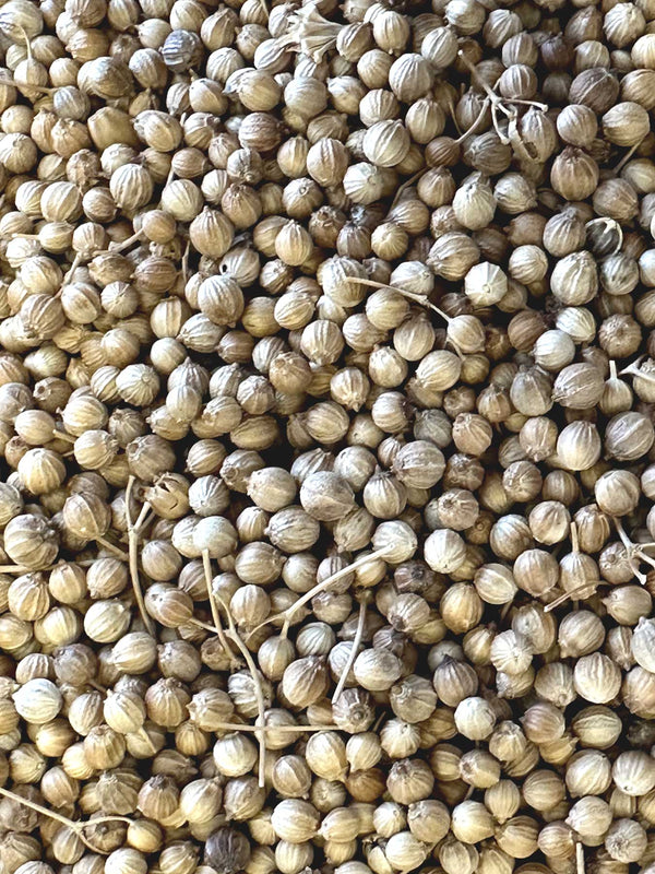 Vegan friendly coriander seeds