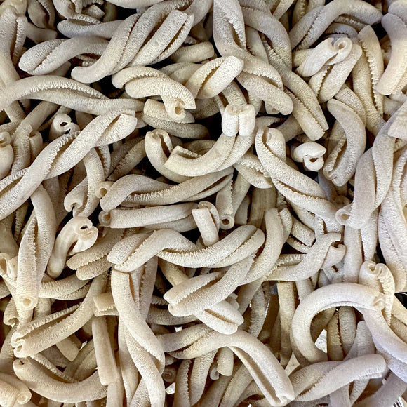 Organic white spelt casarecce available from our Northamptonshire based refill shop